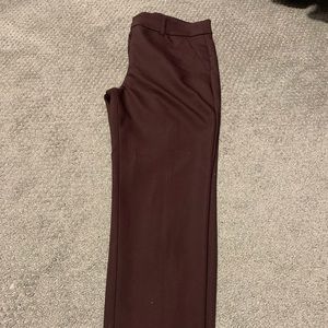 Express dress pants